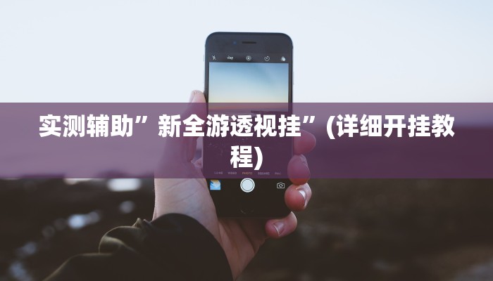 实测辅助”新全游透视挂”(详细开挂教程)