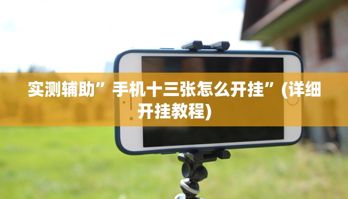 实测辅助”手机十三张怎么开挂”(详细开挂教程)