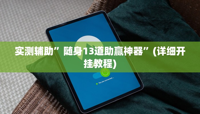 实测辅助”随身13道助赢神器”(详细开挂教程)