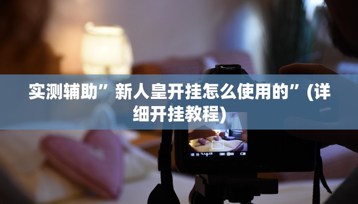 实测辅助”新人皇开挂怎么使用的”(详细开挂教程)