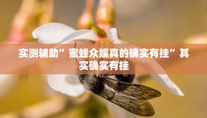 实测辅助”七彩佬腌菜通用挂”(详细开挂教程)