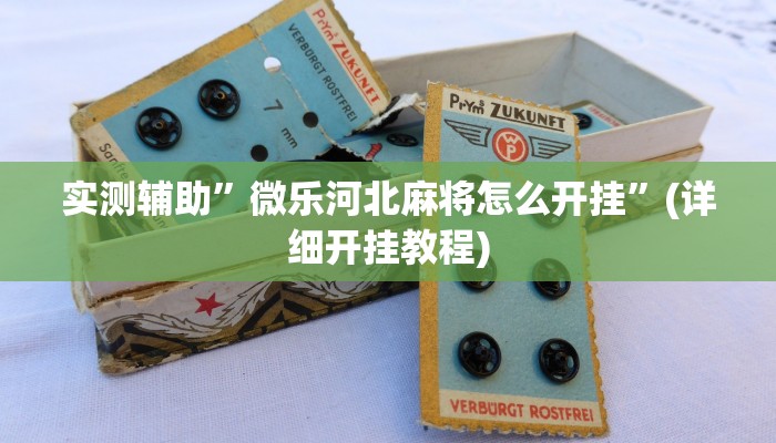 实测辅助”微乐河北麻将怎么开挂”(详细开挂教程)