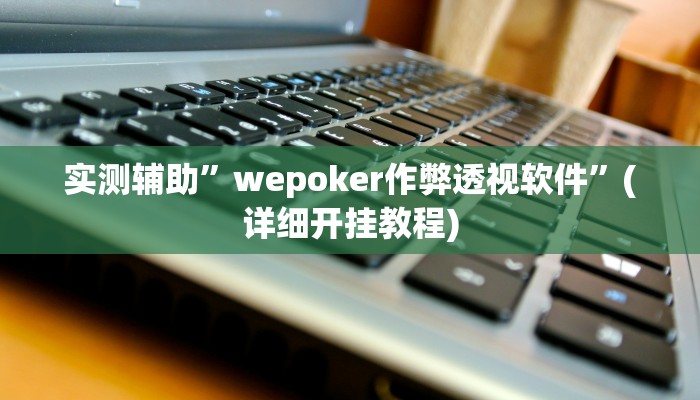 实测辅助”wepoker作弊透视软件”(详细开挂教程)