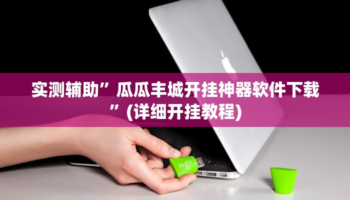 实测辅助”瓜瓜丰城开挂神器软件下载”(详细开挂教程)