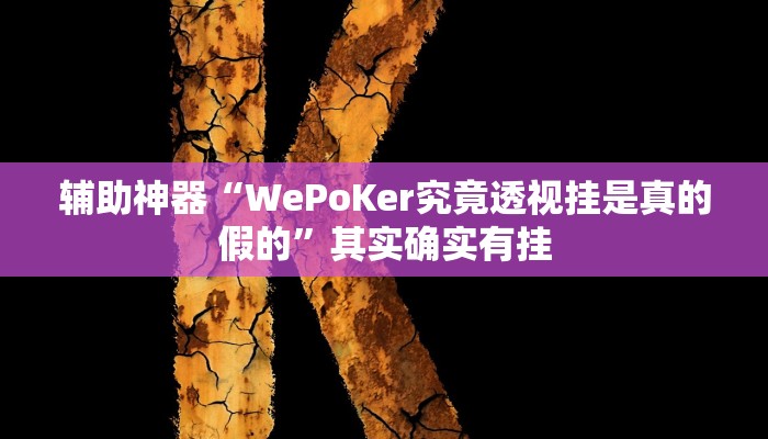 辅助神器“WePoKer究竟透视挂是真的假的”其实确实有挂