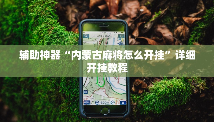 辅助神器“内蒙古麻将怎么开挂”详细开挂教程