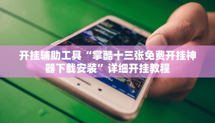 开挂辅助工具“掌酷十三张免费开挂神器下载安装”详细开挂教程