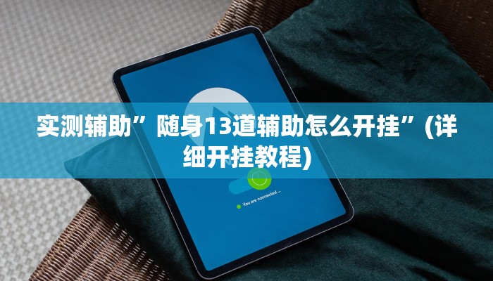 实测辅助”随身13道辅助怎么开挂”(详细开挂教程)