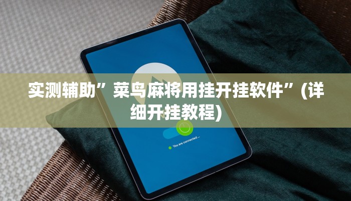 实测辅助”菜鸟麻将用挂开挂软件”(详细开挂教程)