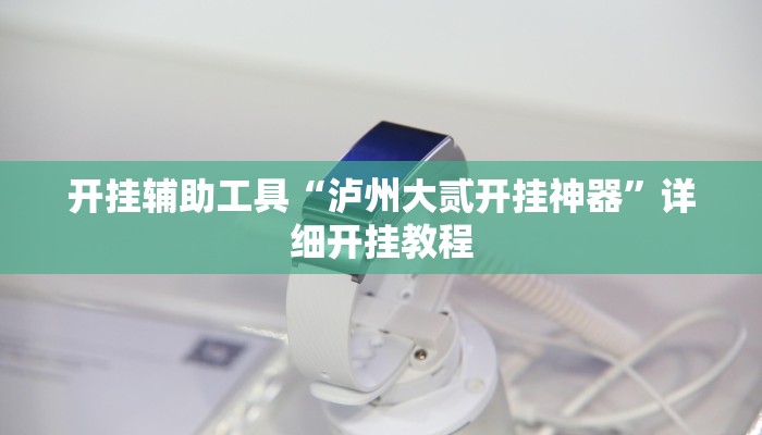 开挂辅助工具“泸州大贰开挂神器”详细开挂教程