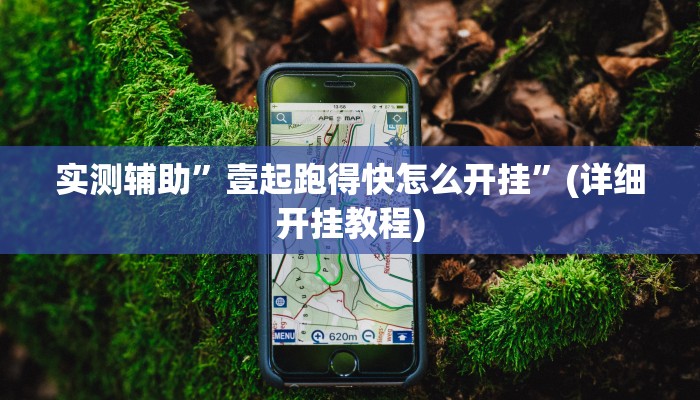 实测辅助”大赢家跑得快通用挂”(详细开挂教程)