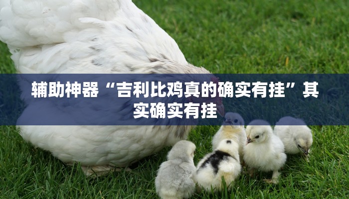辅助神器“吉利比鸡真的确实有挂”其实确实有挂