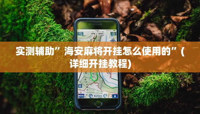 实测辅助”海安麻将开挂怎么使用的”(详细开挂教程)