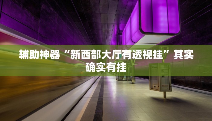 辅助神器“新西部大厅有透视挂”其实确实有挂