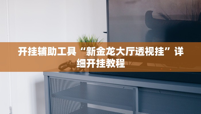 开挂辅助工具“新金龙大厅透视挂”详细开挂教程