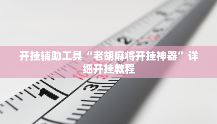 开挂辅助工具“老胡麻将开挂神器”详细开挂教程