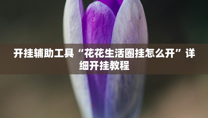 实测辅助”随身13道怎么开挂”(详细开挂教程)