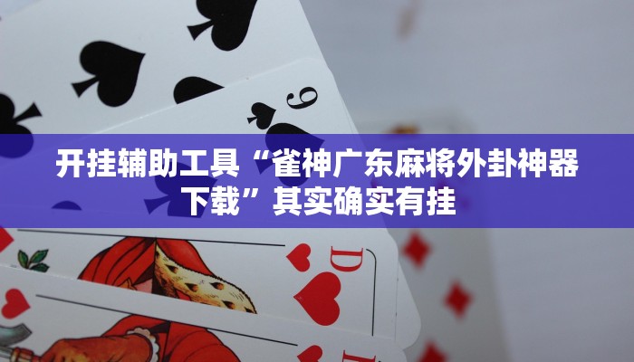 实测辅助”随意玩拼三张可以开挂吗”(详细开挂教程)