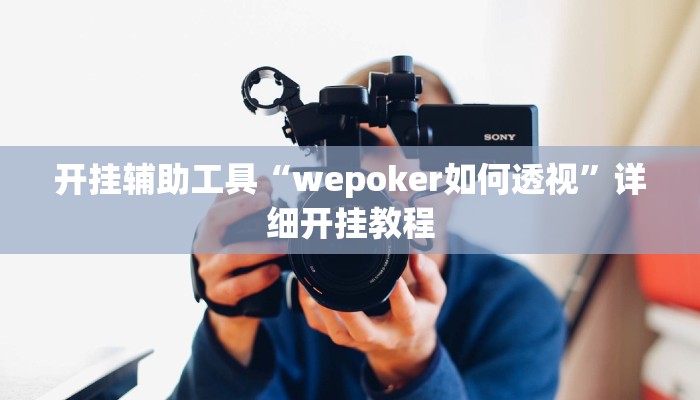 实测辅助”wepoker作弊透视挂”(详细开挂教程)