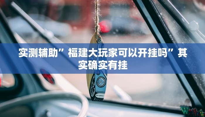 实测辅助”福建大玩家可以开挂吗”其实确实有挂