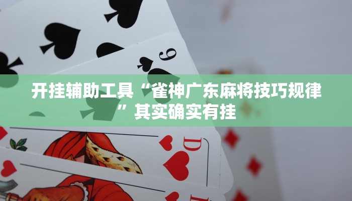 开挂辅助工具“雀神广东麻将技巧规律”其实确实有挂