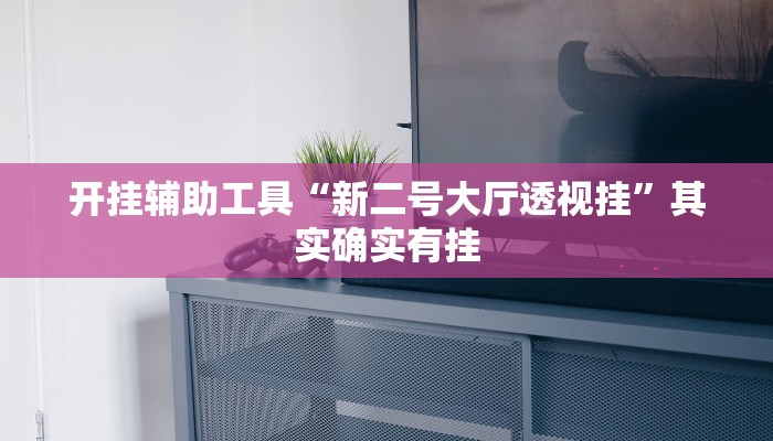 开挂辅助工具“新二号大厅透视挂”其实确实有挂
