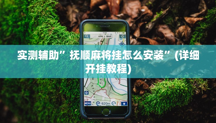辅助神器“边锋干瞪眼开挂方法”详细开挂教程