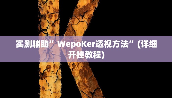 实测辅助”WepoKer透视方法”(详细开挂教程)