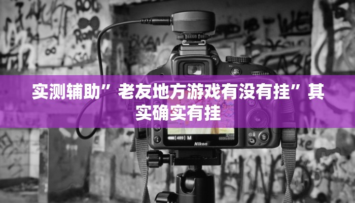 实测辅助”老友地方游戏有没有挂”其实确实有挂
