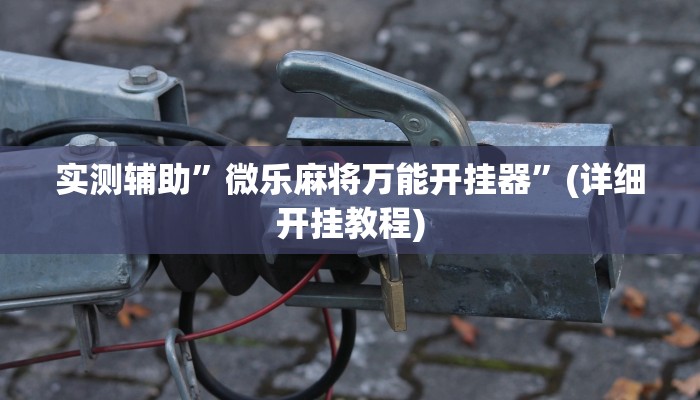 实测辅助”微乐麻将万能开挂器”(详细开挂教程)