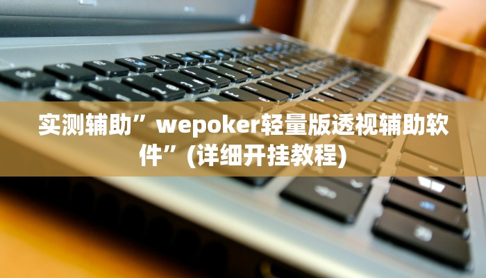 实测辅助”wepoker轻量版透视辅助软件”(详细开挂教程)