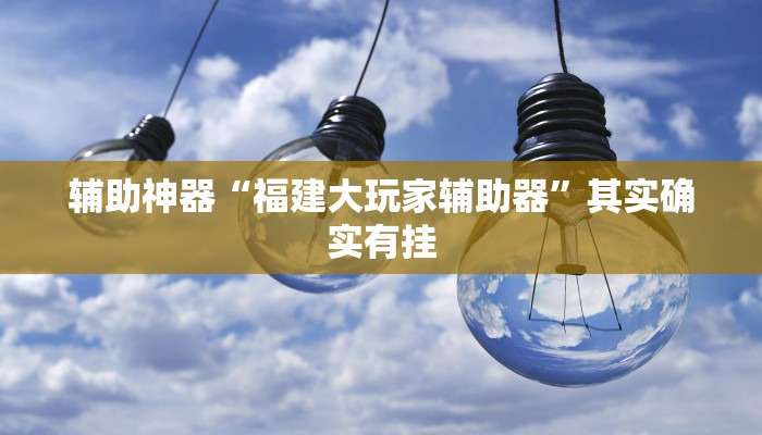 辅助神器“福建大玩家辅助器”其实确实有挂