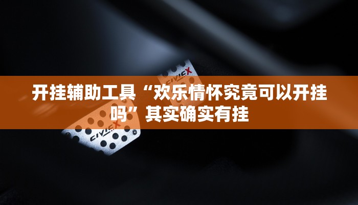 开挂辅助工具“欢乐情怀究竟可以开挂吗”其实确实有挂