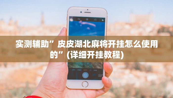 实测辅助”皮皮湖北麻将开挂怎么使用的”(详细开挂教程)