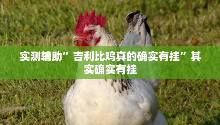 实测辅助”吉利比鸡真的确实有挂”其实确实有挂