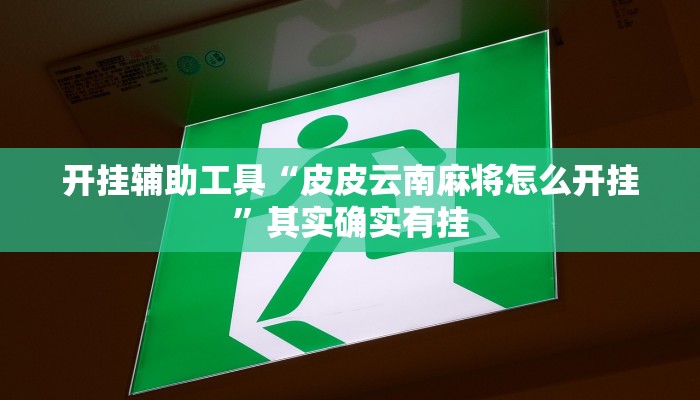 开挂辅助工具“皮皮云南麻将怎么开挂”其实确实有挂