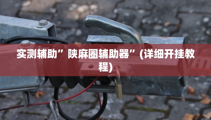 实测辅助”陕麻圈辅助器”(详细开挂教程)