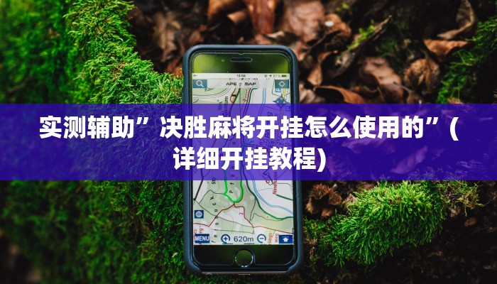 实测辅助”决胜麻将开挂怎么使用的”(详细开挂教程)