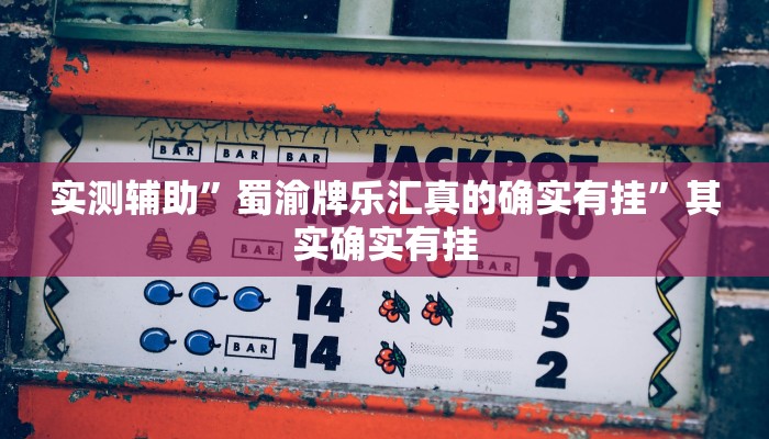 实测辅助”蜀渝牌乐汇真的确实有挂”其实确实有挂