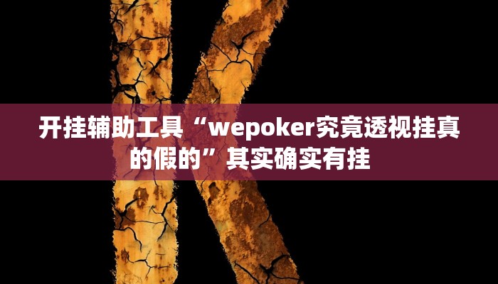 开挂辅助工具“wepoker究竟透视挂真的假的”其实确实有挂