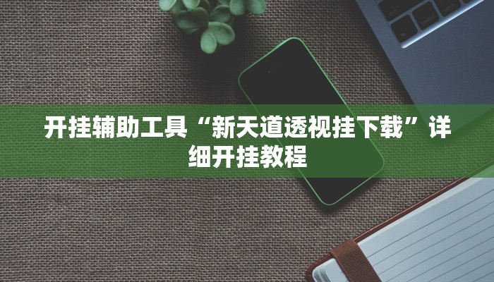 开挂辅助工具“新天道透视挂下载”详细开挂教程