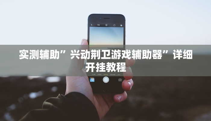 实测辅助”兴动荆卫游戏辅助器”详细开挂教程