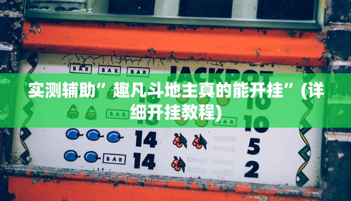 实测辅助”新毛豆可以开挂吗”详细开挂教程