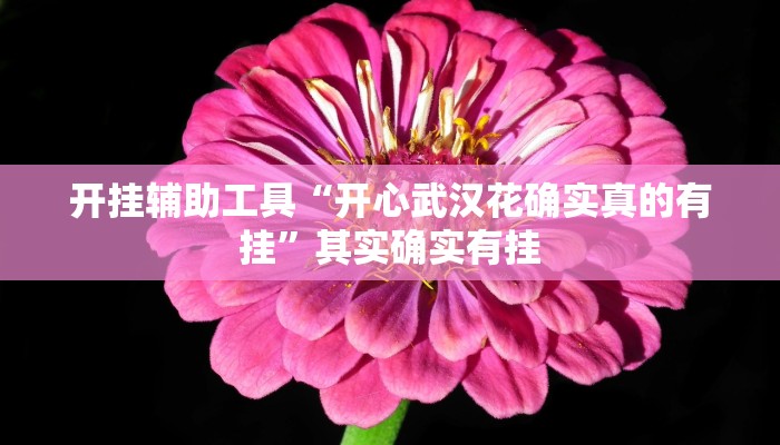 开挂辅助工具“开心武汉花确实真的有挂”其实确实有挂