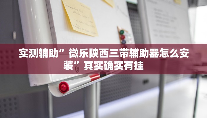 实测辅助”微乐陕西三带辅助器怎么安装”其实确实有挂