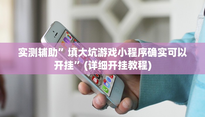 实测辅助”填大坑游戏小程序确实可以开挂”(详细开挂教程)