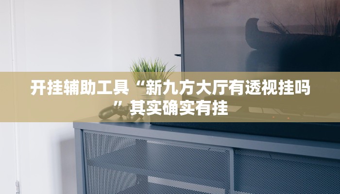 开挂辅助工具“新九方大厅有透视挂吗”其实确实有挂