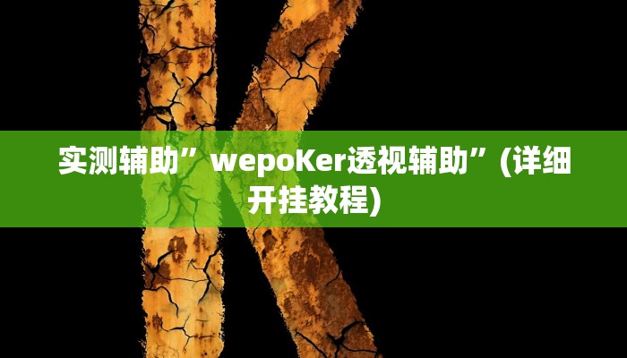 实测辅助”九张牌比鸡作弊教程现场”(详细开挂教程)