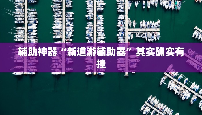 辅助神器“新道游辅助器”其实确实有挂