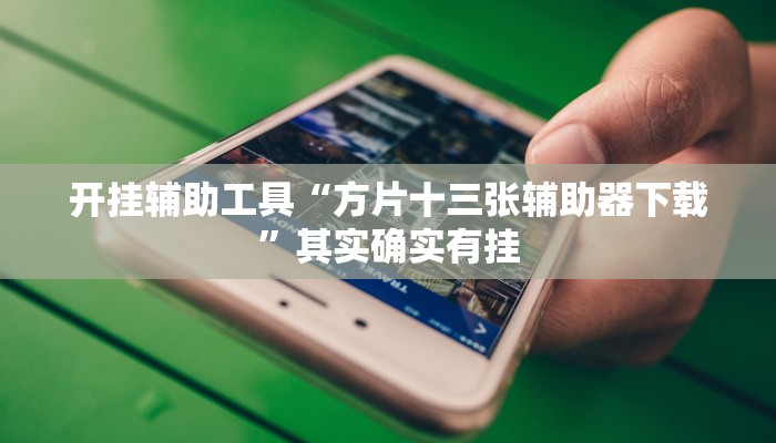 实测辅助”麻友圈2贵阳捉鸡麻将外卦”(详细开挂教程)